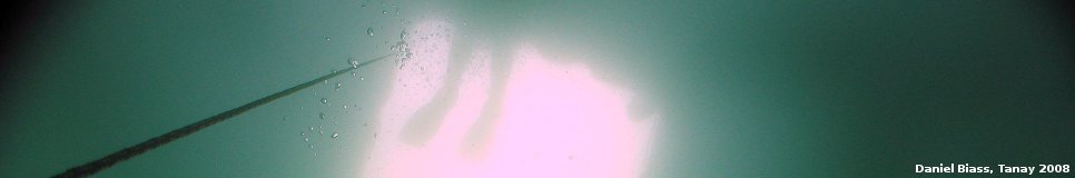 tanay2008_4.jpg